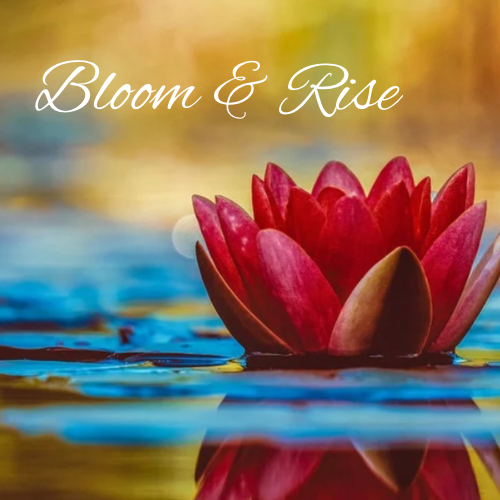 🌸 Bloom & Rise